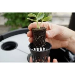 Coupon 👍 Black Magic Performance Hydroponics Black Magic Hydroponic System Planter 🎁 -Planters Sales Store unnamed file 1003
