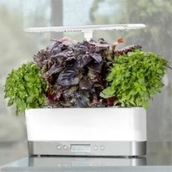 Promo β AeroGarden Harvest Elite Slim, White Stainless β