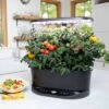 Coupon 🧨 AeroGarden Bounty Basic, Black 🛒 -Planters Sales Store unnamed file 1009