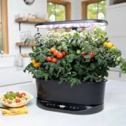 Coupon 🧨 AeroGarden Bounty Basic, Black 🛒