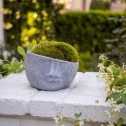 New 🎉 6" x 8" Resin Half Face Planter - Sagebrook Home Gray ⌛ -Planters Sales Store unnamed file 1186