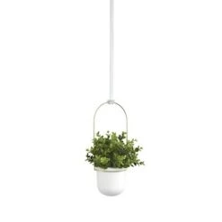 Buy 🥰 Triflora Hanging Planter White/Brass - Umbra 👍 -Planters Sales Store unnamed file 1252
