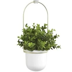 Buy 🥰 Triflora Hanging Planter White/Brass - Umbra 👍 -Planters Sales Store unnamed file 1253