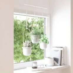 Buy 🥰 Triflora Hanging Planter White/Brass - Umbra 👍 -Planters Sales Store unnamed file 1255