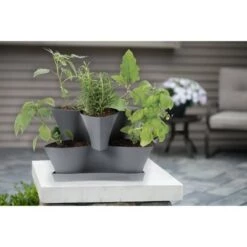 Top 10 👏 Collins Modular Multi-Level-Tier Vertical Herb Planter - Bloem Gray 🎉