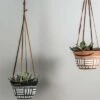 Coupon 😀 Natural Terracotta with Hand Painted Pattern and Faux Leather Straps Hanging Planter - Foreside Home & Garden 🎁 -Planters Sales Store unnamed file 1336