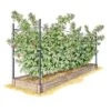 New 🤩 Gardener's Supply Company Raised Garden Bed, Raspberry Bed Kit - GARDENER'S SUPPLY CO. 🧨