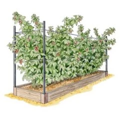 New 🤩 Gardener's Supply Company Raised Garden Bed, Raspberry Bed Kit - GARDENER'S SUPPLY CO. 🧨