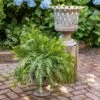 Coupon ⌛ Park Hill Collection Woven Metal Classic Urn 😉 -Planters Sales Store unnamed file 1343