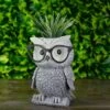 Best Sale 🌟 Roman 9.25" Owl Spring Outdoor Patio Garden Planter - Gray 🎁 -Planters Sales Store unnamed file 1375