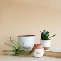 Top 10 ๐ Large Natural Terracotta Painted Planter - Foreside Home & Garden ๐งจ