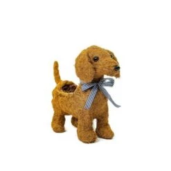 Best reviews of 🎁 Coir Planter - Ultimate Innovations 🔥 -Planters Sales Store unnamed file 1408