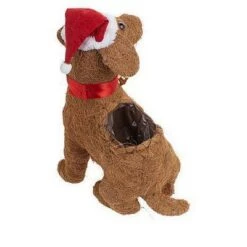 Best reviews of 🎁 Coir Planter - Ultimate Innovations 🔥 -Planters Sales Store unnamed file 1413