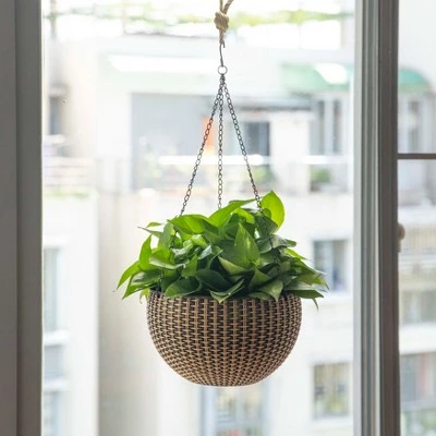 Buy ✔️ Gardenised 10" Self Watering Bronze Hanging Basket Flower Planter 🤩 6 Buy ✔️ Gardenised 10" Self Watering Bronze Hanging Basket Flower Planter 🤩 - Image 4