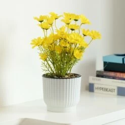 Best Sale 🤩 Gardenised White Flower Pot Self Watering Planter, 6 Pack 🔔