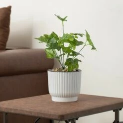 Best Sale 🤩 Gardenised White Flower Pot Self Watering Planter, 6 Pack 🔔 -Planters Sales Store unnamed file 1467