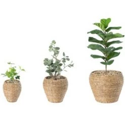 Cheap 🎁 Vintiquewise Woven Round Flower Pot Planter Basket with Leak-Proof Plastic Lining ✔️ -Planters Sales Store unnamed file 1549