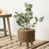 Hot Sale 🔔 Vintiquewise Wooden Stump Tree Log with Bark Planter Pot with Small Tree Branch Legs 🥰 -Planters Sales Store unnamed file 1562