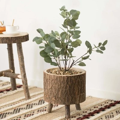 Hot Sale 🔔 Vintiquewise Wooden Stump Tree Log with Bark Planter Pot with Small Tree Branch Legs 🥰 3 Hot Sale 🔔 Vintiquewise Wooden Stump Tree Log with Bark Planter Pot with Small Tree Branch Legs 🥰