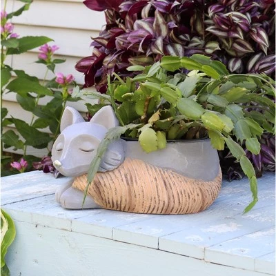 Cheapest 🥰 Sunnydaze Decor Sunnydaze Finley the Fox Planter Statue - Indoor/Indoor Decorative Figurine - 12" 👏 3 Cheapest 🥰 Sunnydaze Decor Sunnydaze Finley the Fox Planter Statue - Indoor/Indoor Decorative Figurine - 12" 👏