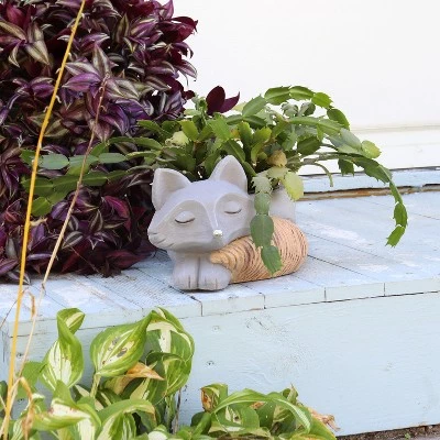 Cheapest 🥰 Sunnydaze Decor Sunnydaze Finley the Fox Planter Statue - Indoor/Indoor Decorative Figurine - 12" 👏 5 Cheapest 🥰 Sunnydaze Decor Sunnydaze Finley the Fox Planter Statue - Indoor/Indoor Decorative Figurine - 12" 👏 - Image 3