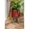 Best reviews of 🥰 Evergreen Metal 🦮 Dog Planter With Wooden Stand ❤️