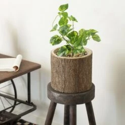 Budget 🤩 Vintiquewise Wooden Stump Tree Branch with Bark Succulent Planter Pot Flower Shelf 🎉 -Planters Sales Store unnamed file 1629