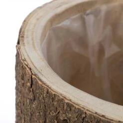 Budget 🤩 Vintiquewise Wooden Stump Tree Branch with Bark Succulent Planter Pot Flower Shelf 🎉 -Planters Sales Store unnamed file 1631