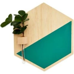 Promo 🎁 Juvale 3 Pack Wooden Hexagon Hanging Planters, Plant Pots Holder, Wall Decor, 2 Sizes 😍 -Planters Sales Store unnamed file 1637