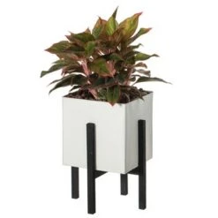 Outlet 💯 Vintiquewise Indoor and Outdoor White Iron Planting Box with Black Wooden Frame ❤️ -Planters Sales Store unnamed file 1642