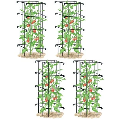 Flash Sale โญ Lifetime Tomato Cages, Heavy Gauge Garden Plant Support, Set of 4, 32" H Installed, Easy Fold for Storage - Gardener's Supply Company ๐ 2 Flash Sale โญ Lifetime Tomato Cages, Heavy Gauge Garden Plant Support, Set of 4, 32" H Installed, Easy Fold for Storage - Gardener's Supply Company ๐