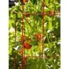 Outlet 🧨 Square Heavy Gauge Extra Tall Easy Fold Tomato Cage, 14.25" x 14.25" x 65", Set of 2 - Gardener's Supply Company 👏 -Planters Sales Store unnamed file 1754
