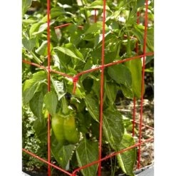 Promo ❤️ Pepper and Eggplant Plant Support Steel Cages, Set of 3 - Gardener's Supply Company 💯 -Planters Sales Store unnamed file 1760