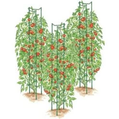 Planters Sales Store 27 Hot Sale ⌛ Green Tomato Ladders, Set of 3 - Gardener's Supply Company 🎉