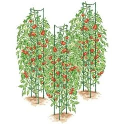 Planters Sales Store -Planters Sales Store unnamed file 1765