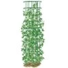 Outlet ⌛ Bean Tower Vegetable Support, Heavy Gauge Trellis 65" Tall - Gardener's Supply Company ⌛ -Planters Sales Store unnamed file 1767
