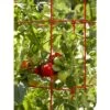 Coupon 👍 Square Tomato Cage, Single - Gardener's Supply Company ⭐ -Planters Sales Store unnamed file 1772
