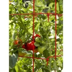Coupon 👍 Square Tomato Cage, Single - Gardener's Supply Company ⭐