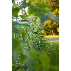 Budget 🎁 60" 5pk Plant Support Light Green - Glamos 🥰 -Planters Sales Store unnamed file 1786