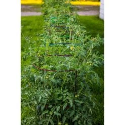 Budget 🎁 60" 5pk Plant Support Light Green - Glamos 🥰 -Planters Sales Store unnamed file 1787