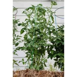 Flash Sale 🥰 54" 5pk Heavy Duty Plant Support Evergreen - Glamos 😍 -Planters Sales Store unnamed file 1790