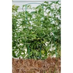 Flash Sale 🥰 54" 5pk Heavy Duty Plant Support Evergreen - Glamos 😍 -Planters Sales Store unnamed file 1791