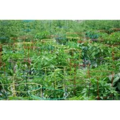 Budget 😀 5pk Gemz Heavy Duty Plant Support Combo - Glamos 😍 -Planters Sales Store unnamed file 1800