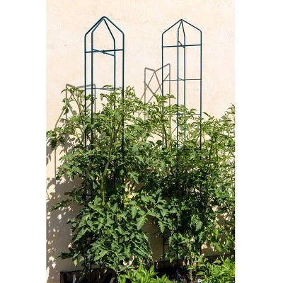 Buy โ Tall Zenith Folding Garden Supports Set of 2 - yellow - Gardener's Supply Company ๐ 5 Buy โ Tall Zenith Folding Garden Supports Set of 2 - yellow - Gardener's Supply Company ๐ - Image 3