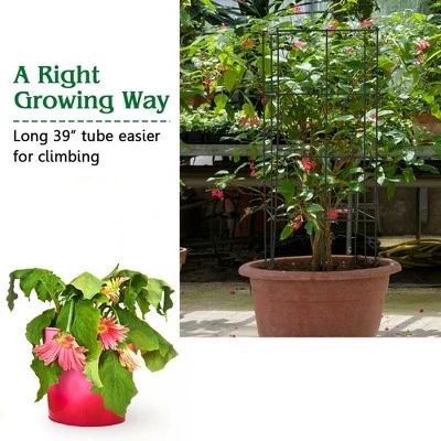Flash Sale ๐ Costway 4 Pack Tomato Cages Garden Cages Stakes Plant Trellis 16'' x 16'' x 39'' ๐ 6 Flash Sale ๐ Costway 4 Pack Tomato Cages Garden Cages Stakes Plant Trellis 16'' x 16'' x 39'' ๐ - Image 4