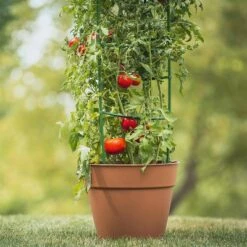Cheapest 💯 Midwest Air Technologies Gardener's Blue Ribbon TMC60 Ultomato 5 Foot Tomato and Climbing Fruit and Vegetable Steel and Plastic Plant Growth Cage for All Season Support, Green 😀 -Planters Sales Store unnamed file 1820