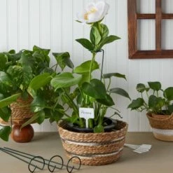 Hot Sale 🎉 Farmlyn Creek Set of 124 Pcs Green Metal Garden Plant Support Stakes with White Labels and Stickers for Patio & Outdoor, 15.75 x 2.5 in. 🥰