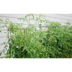 Cheap 🎉 5pk Bright Heavy Duty Plant Support Combo - Glamos ⌛