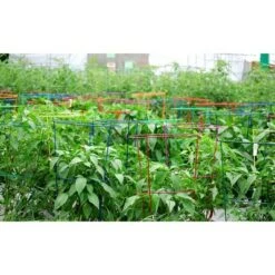 Cheap 🎉 5pk Bright Heavy Duty Plant Support Combo - Glamos ⌛ -Planters Sales Store unnamed file 1833