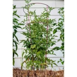 Wholesale 🔥 60" 5pk Gemz Heavy Duty Plant Support Ruby Red - Glamos 🔥 -Planters Sales Store unnamed file 1842